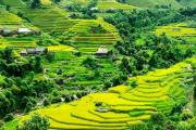 Expériences de voyage à Ha Giang (part 1) 